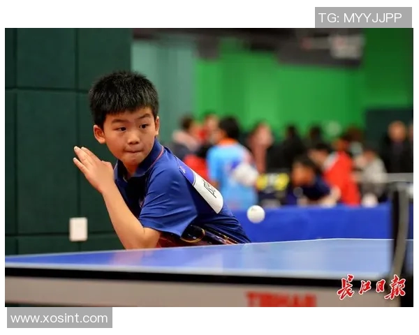 武汉乒乓球队的奋斗历程与荣耀瞬间全景纪实