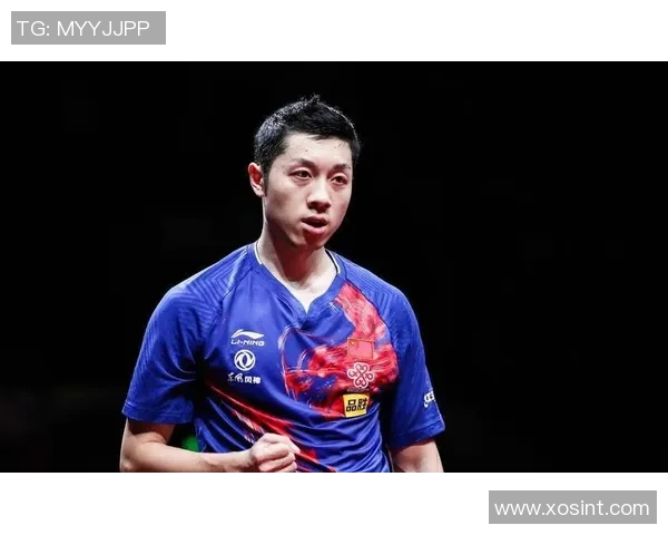 武汉乒乓球队力量排名创新高引发全国关注展现强大实力与潜力