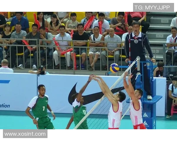 南京排球队的战术变革与球员成长深度解析